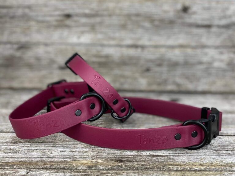 Collier en Biothane (Bourgogne)