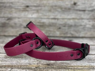 Collier en Biothane (Bourgogne)