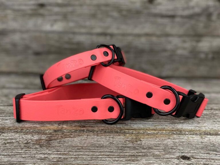 Collier en Biothane (Corail)