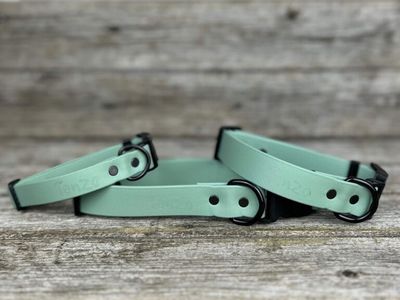 Collier en Biothane (Sauge)