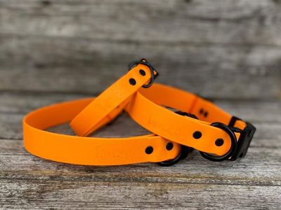 Collier en Biothane (Orange Fluo)