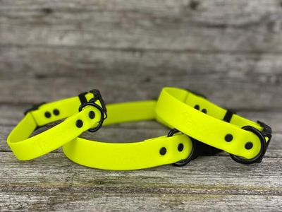 Collier en Biothane (Jaune Fluo)