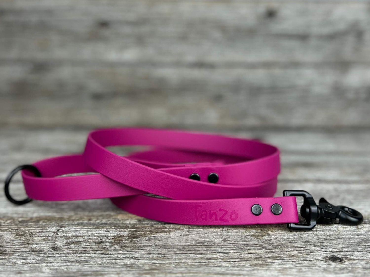 Laisse en biothane (Magenta)