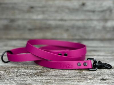 Laisse en biothane (Magenta)