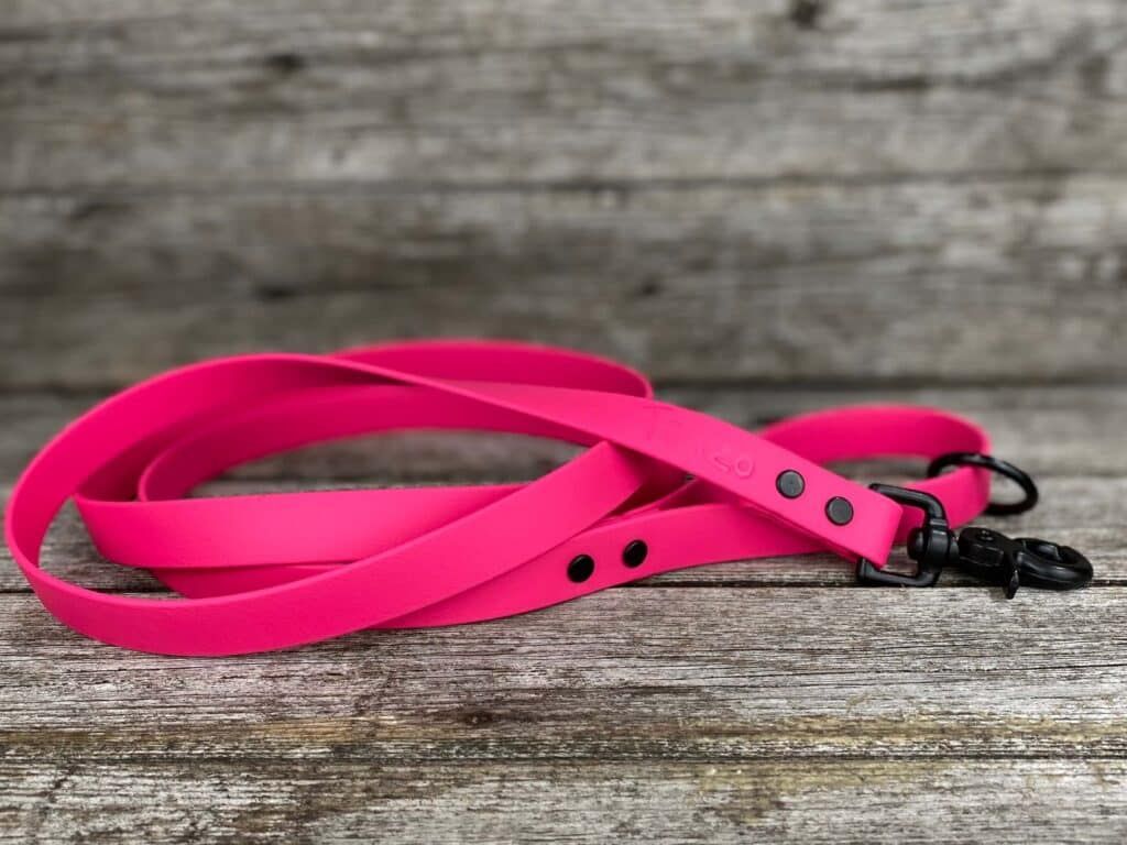 Laisse en Biothane (Rose Fluo)