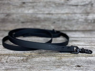 Laisse en Biothane (Noir)