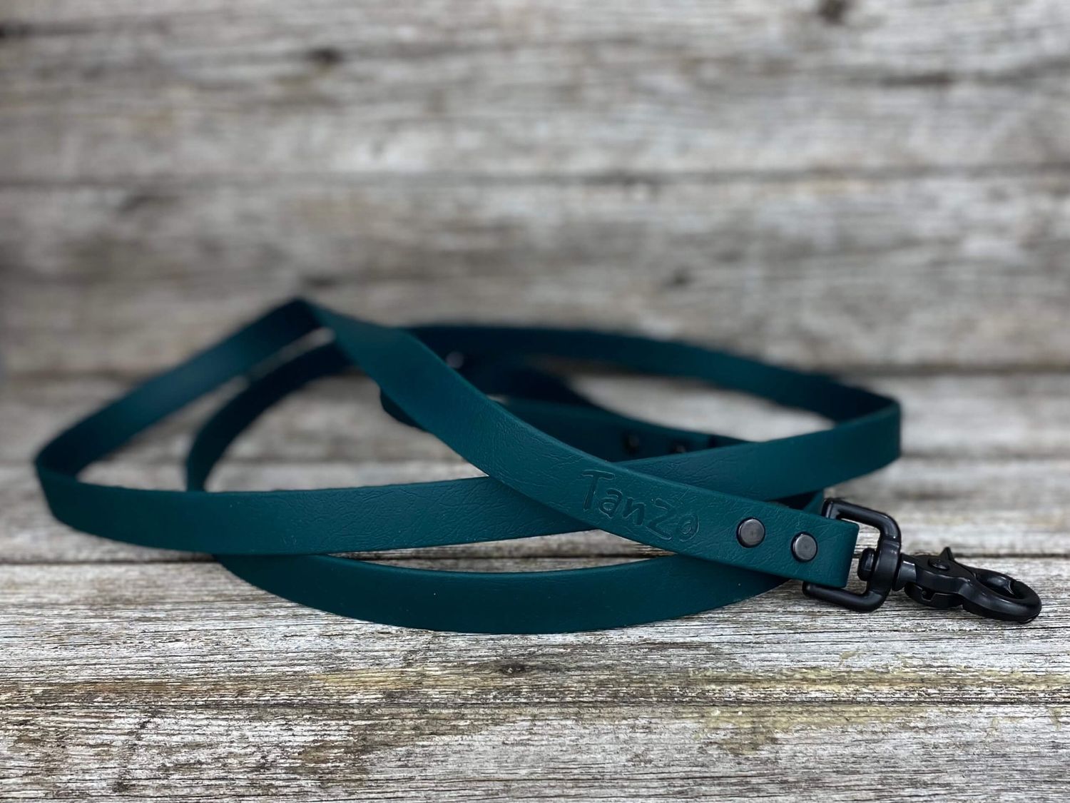 Laisse en Biothane (Vert Chasseur)