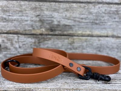 Laisse en Biothane (Caramel)