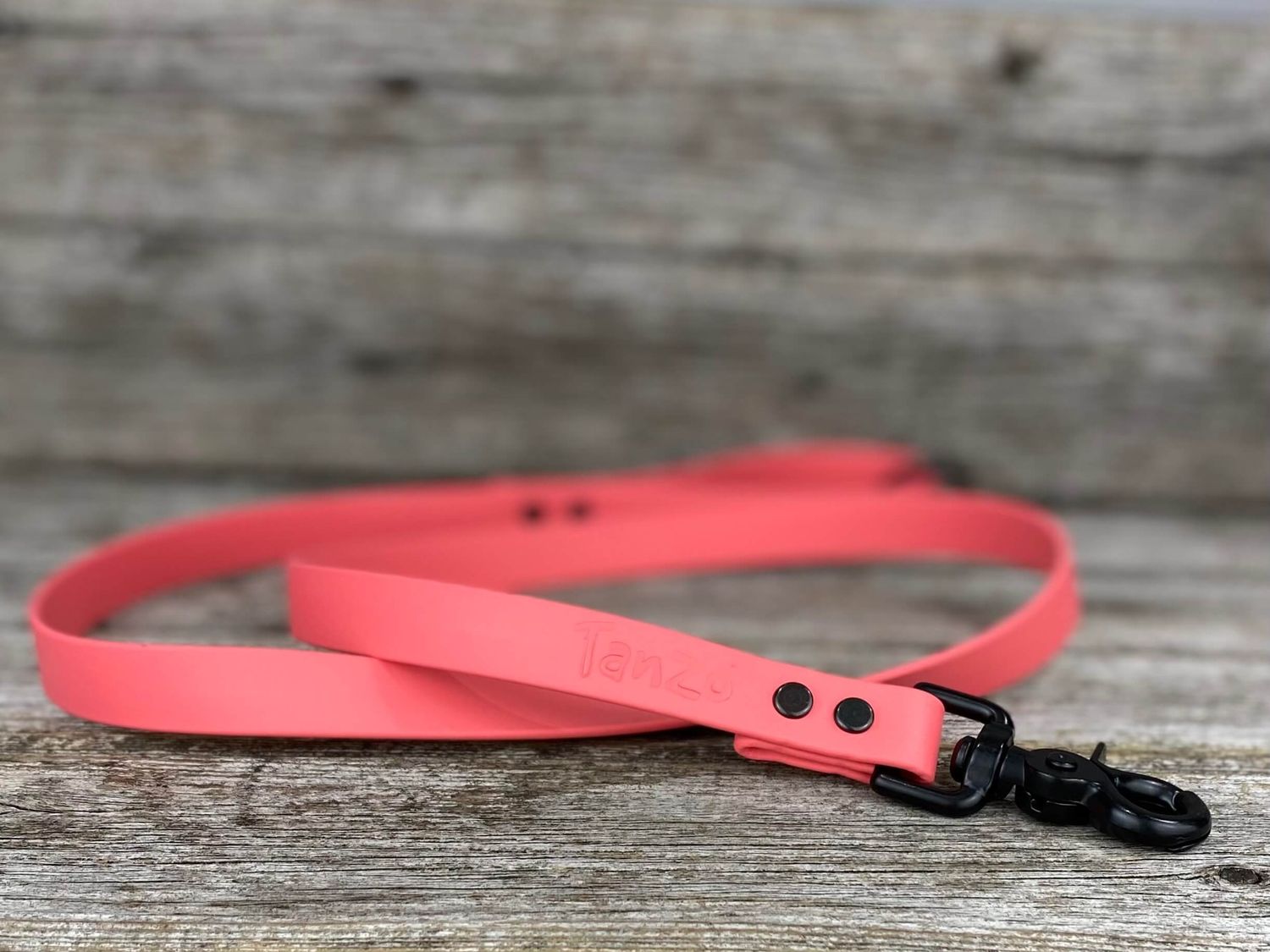 Laisse en Biothane (Corail)