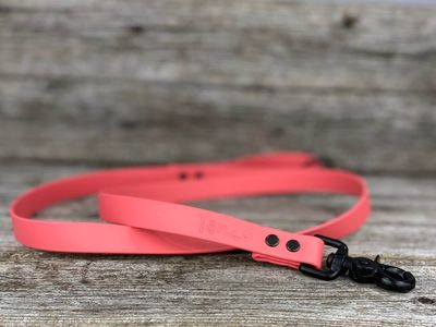Laisse en Biothane (Corail)