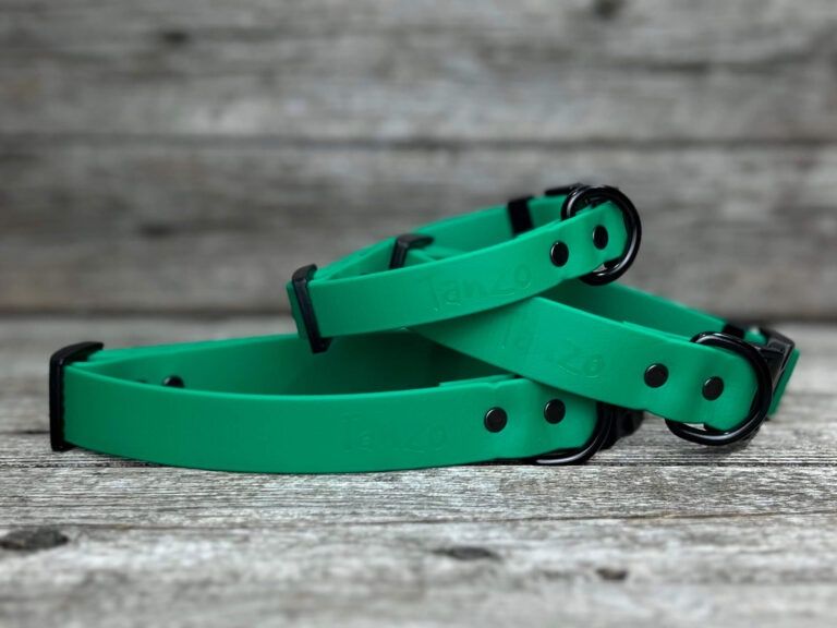 Collier en Biothane (Vert Émeraude)