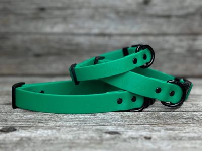 Collier en Biothane (Vert Émeraude)