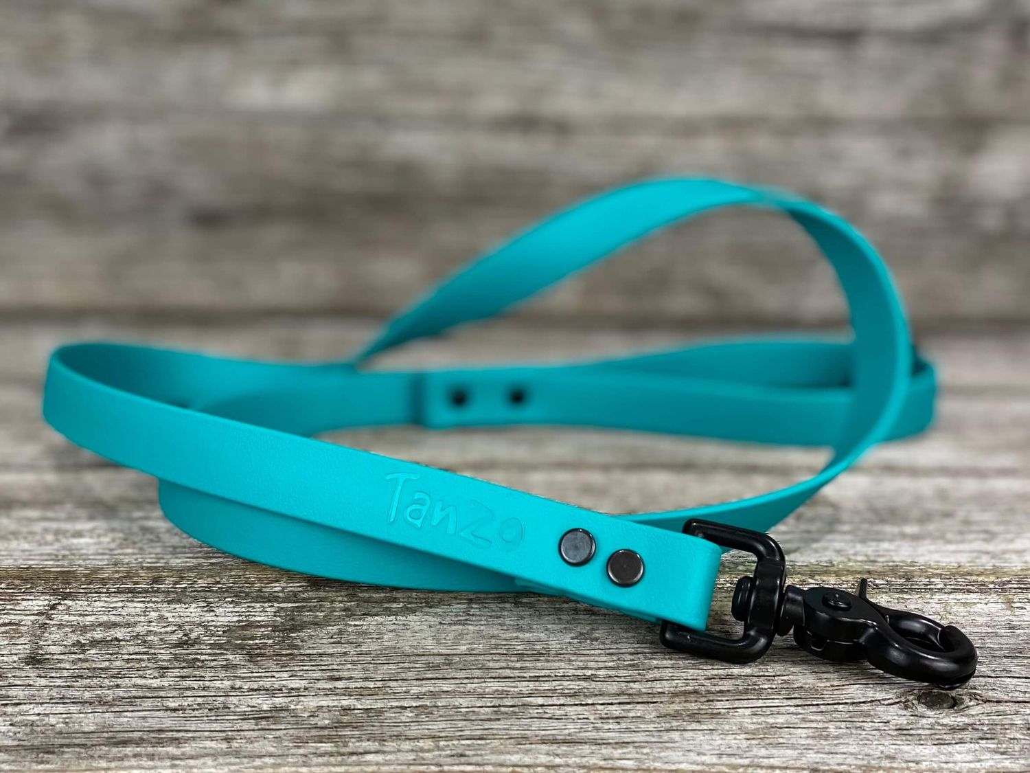 Collier en Biothane (Sarcelle)