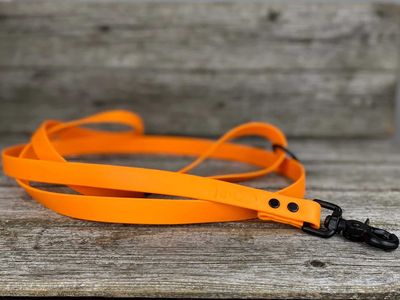 Laisse en Biothane (Orange Fluo)