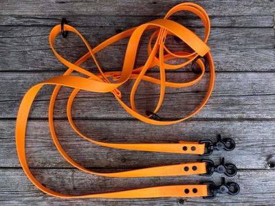 Laisse en Biothane (Orange Fluo)