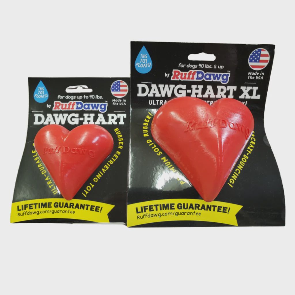 Jouet pour chien ultra résistant (Dawn-Hart)