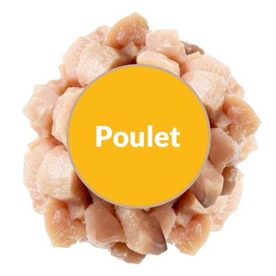 Landreville - Poulet
