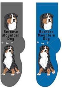 Chaussettes Foozys – Bouvier Bernois