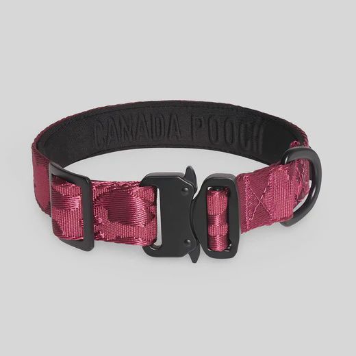 Canada Pooch – Collier utilitaire prune