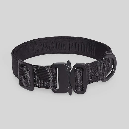 Canada Pooch – Collier utilitaire noir