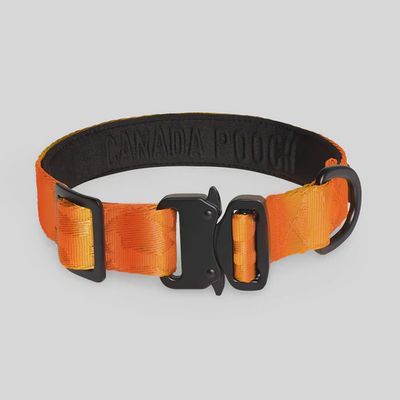 Canada Pooch – Collier utilitaire orange