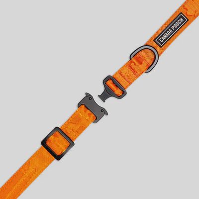 Canada Pooch – Collier utilitaire orange
