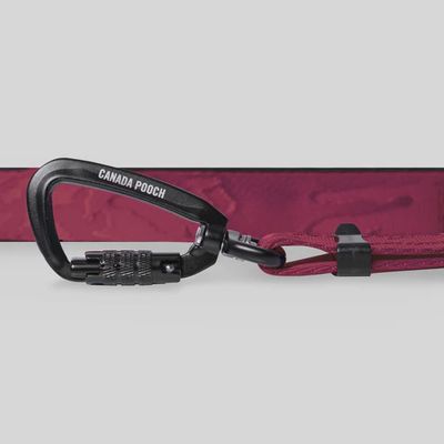 Canada Pooch – Laisse utilitaire ajustable couleur prune
