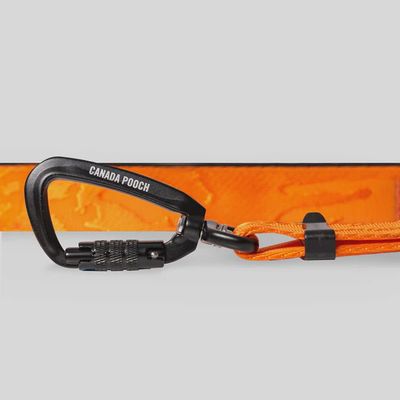 Canada Pooch – Laisse utilitaire ajustable couleur orange