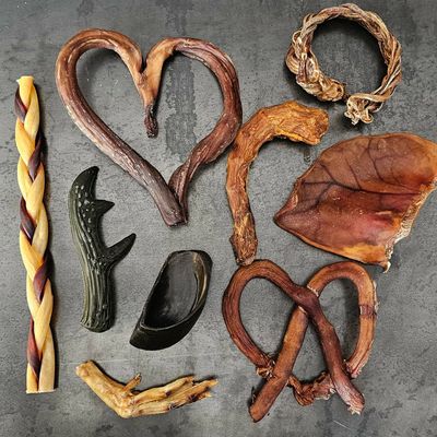 Mastication &amp; Os