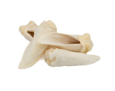 Oreille d’agneau soufflée 100 % naturelle