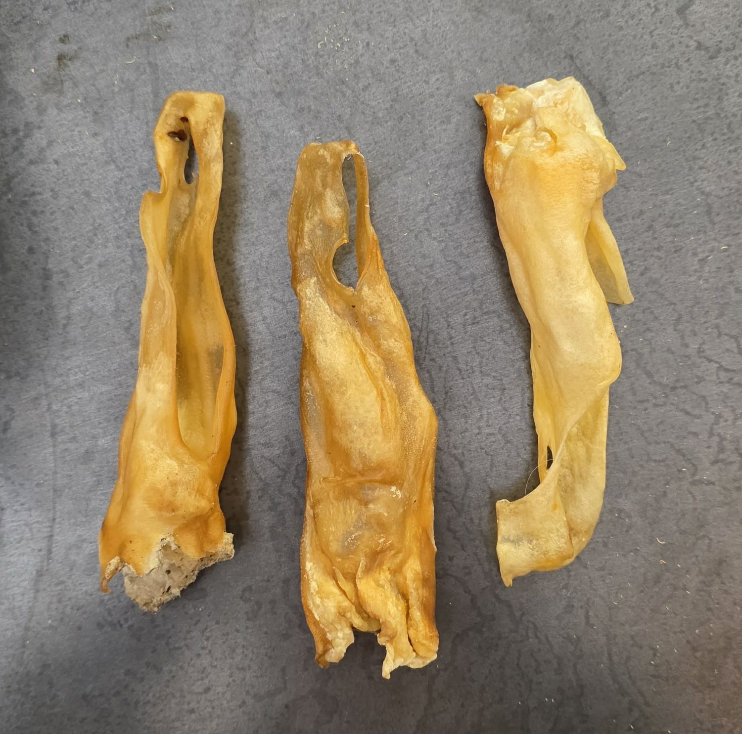 Oreille d’agneau naturelle