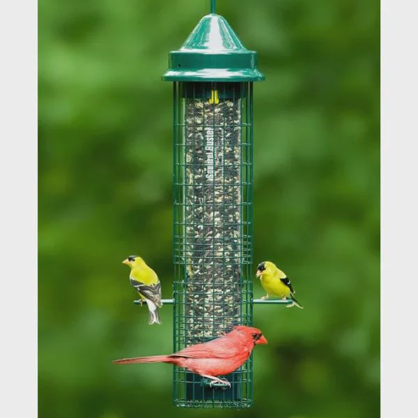 Mangeoire pour oiseaux sauvages – Squirrel Buster Classic