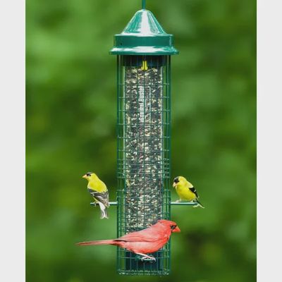 Mangeoire pour oiseaux sauvages – Squirrel Buster Classic