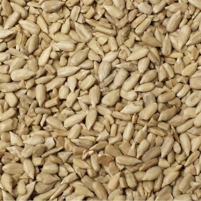 Amandes de tournesol – 8kg