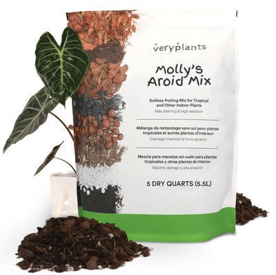 Molly's mix Tropicale