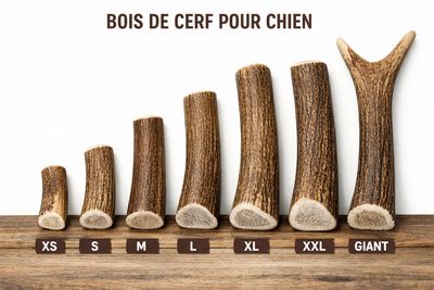 Bois de Cerf Rouge