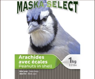 Arachides avec écales