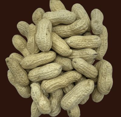 Arachides avec écales