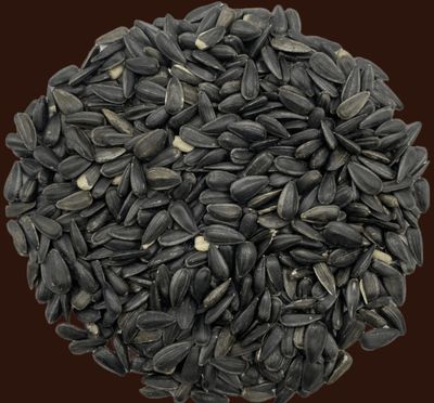 Tournesol noir