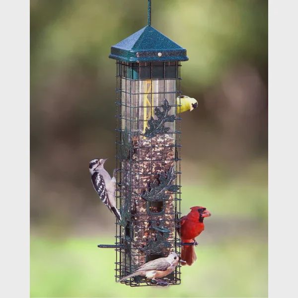 Mangeoire pour oiseaux sauvages – Squirrel Buster® 200