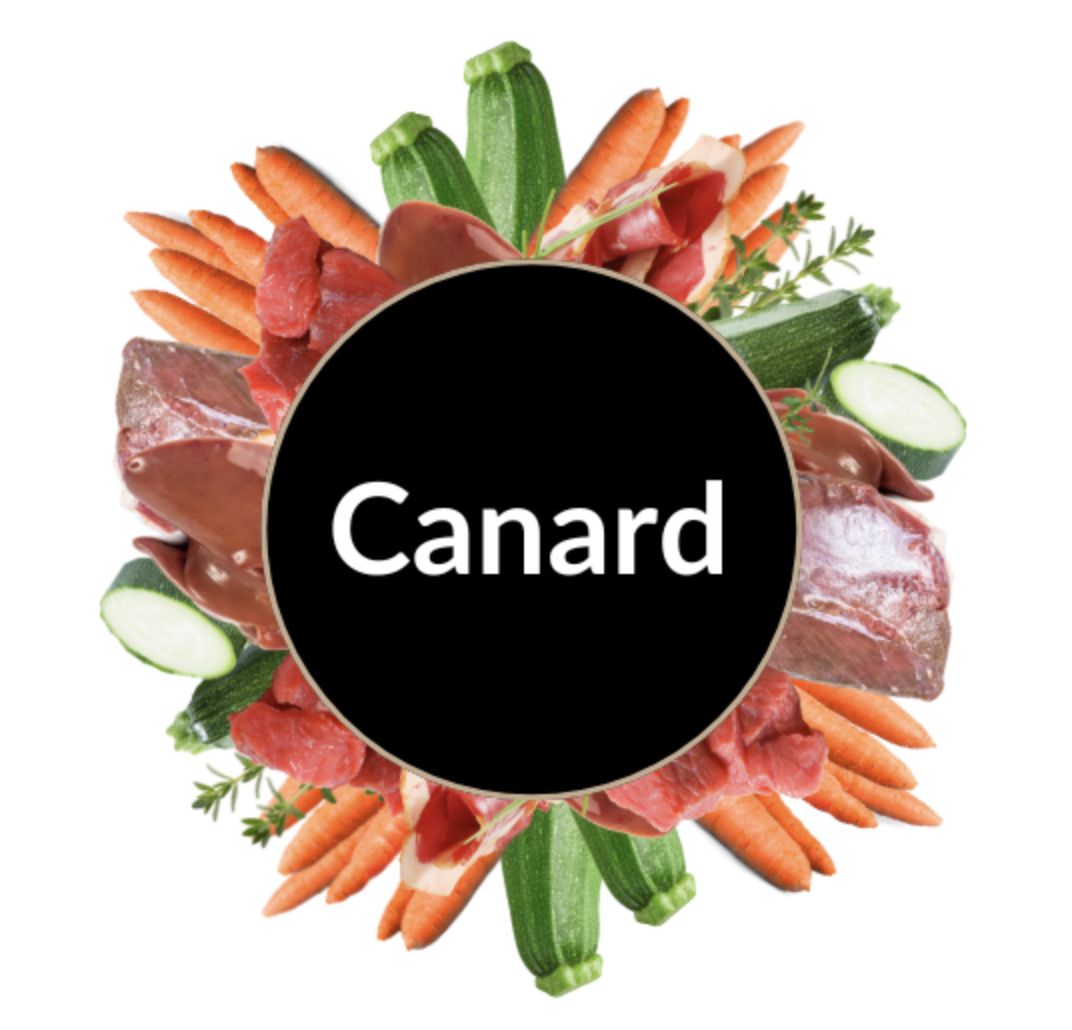 Landreville- Canard et Boeuf