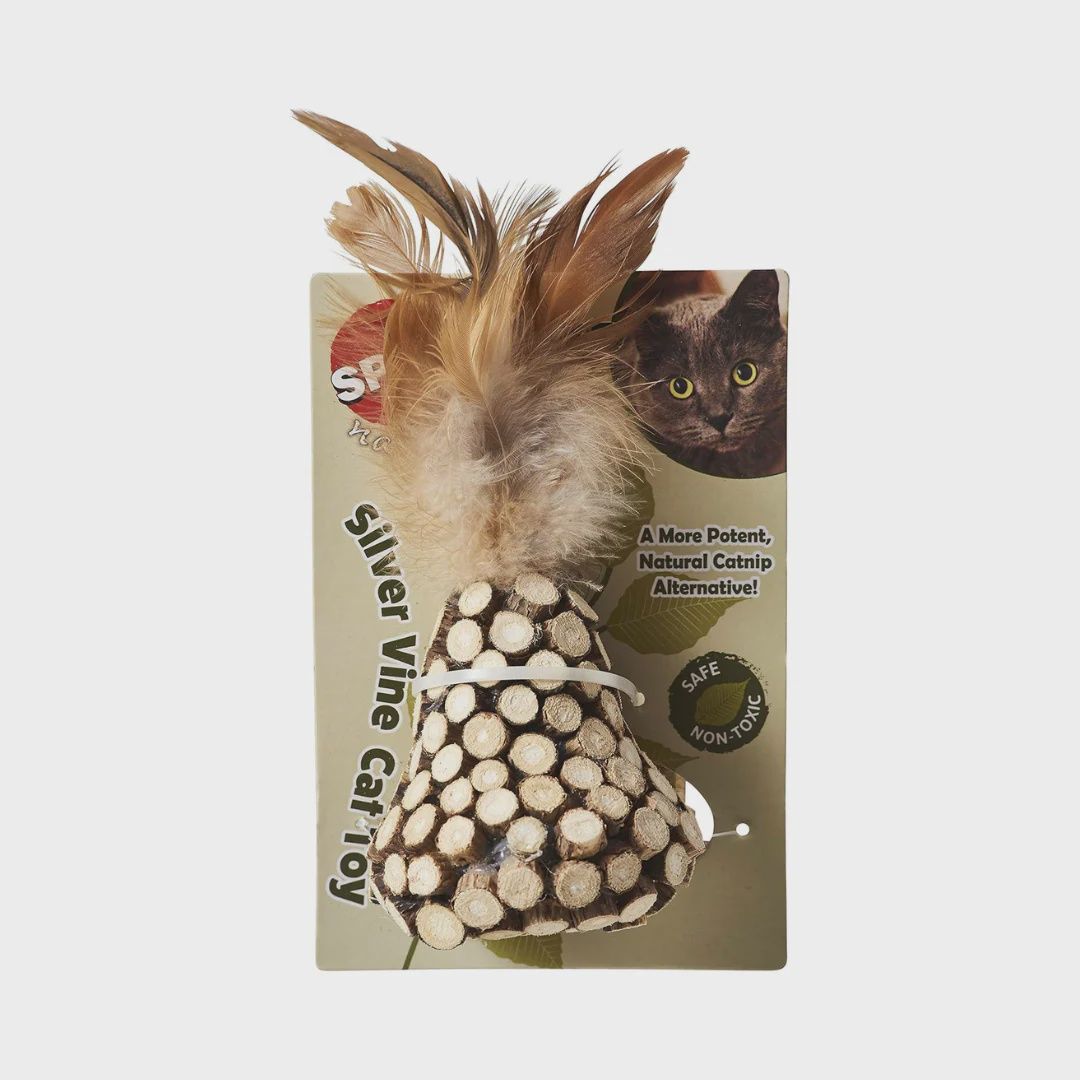 Jouets assortis en Silvervine pour chats