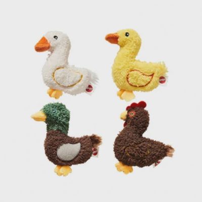 Jouet pour chat avec herbe à chat – Oiseau de ferme assorti – 4 po