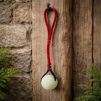 Tug artisanal en BioThane® – Fabrication maison #1