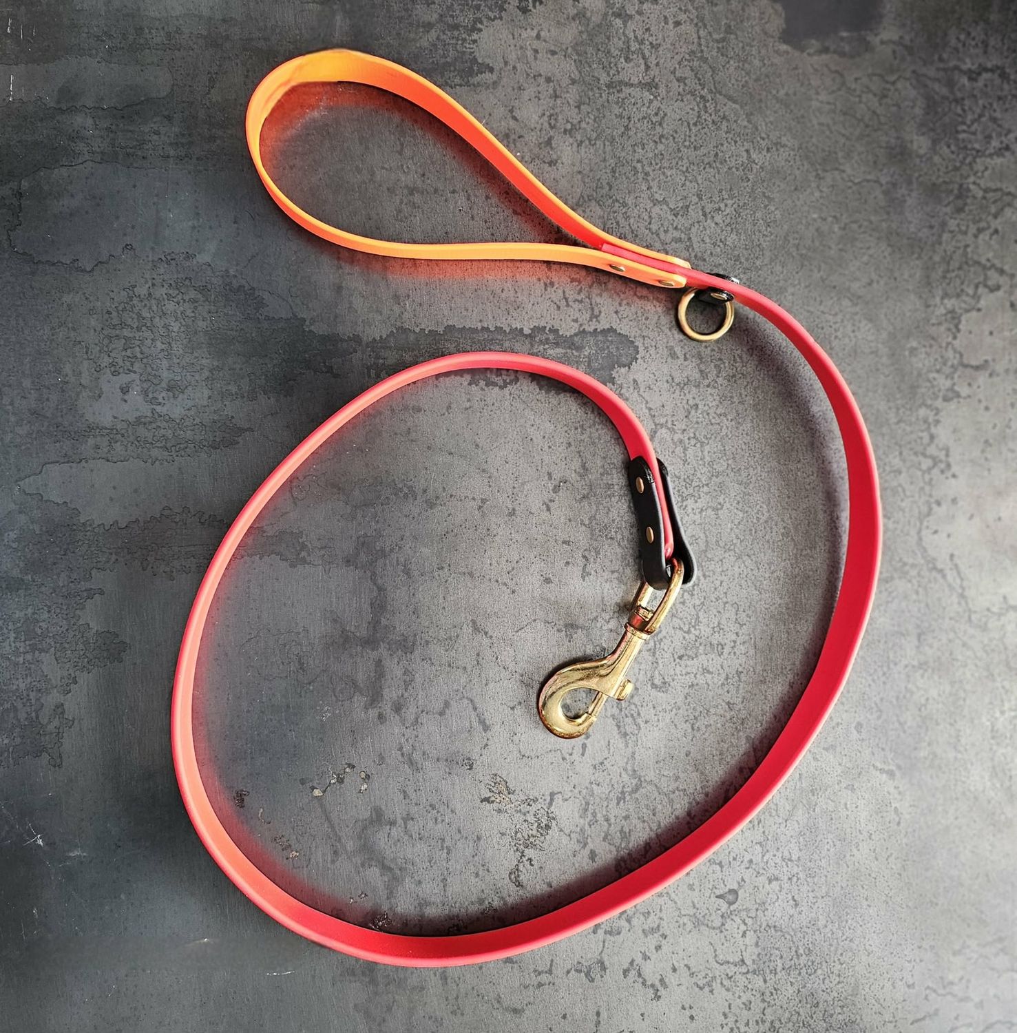 Laisse artisanale en BioThane® – 4,5 pieds – Fabrication maison