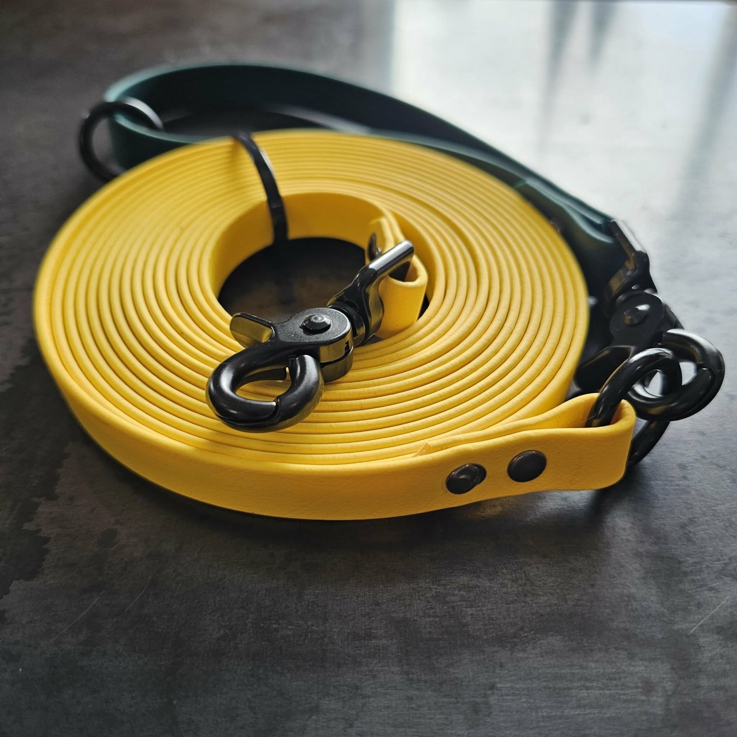 Longe artisanale en BioThane® jaune et vert chasseur – 15 pieds