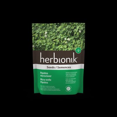 Herbionik® – Micro trèfle blanc Pipolina