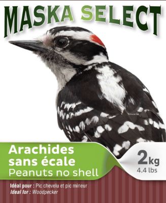Arachides sans écales