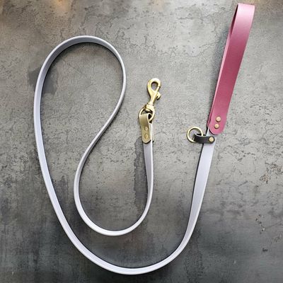 Laisse artisanale en BioThane® – 5,5 pieds – Fabrication québécoise