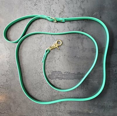 Laisse artisanale en BioThane® – 6 pieds - Fabrication québécoise